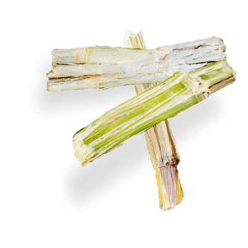 chuk made of sugarcane leftovers