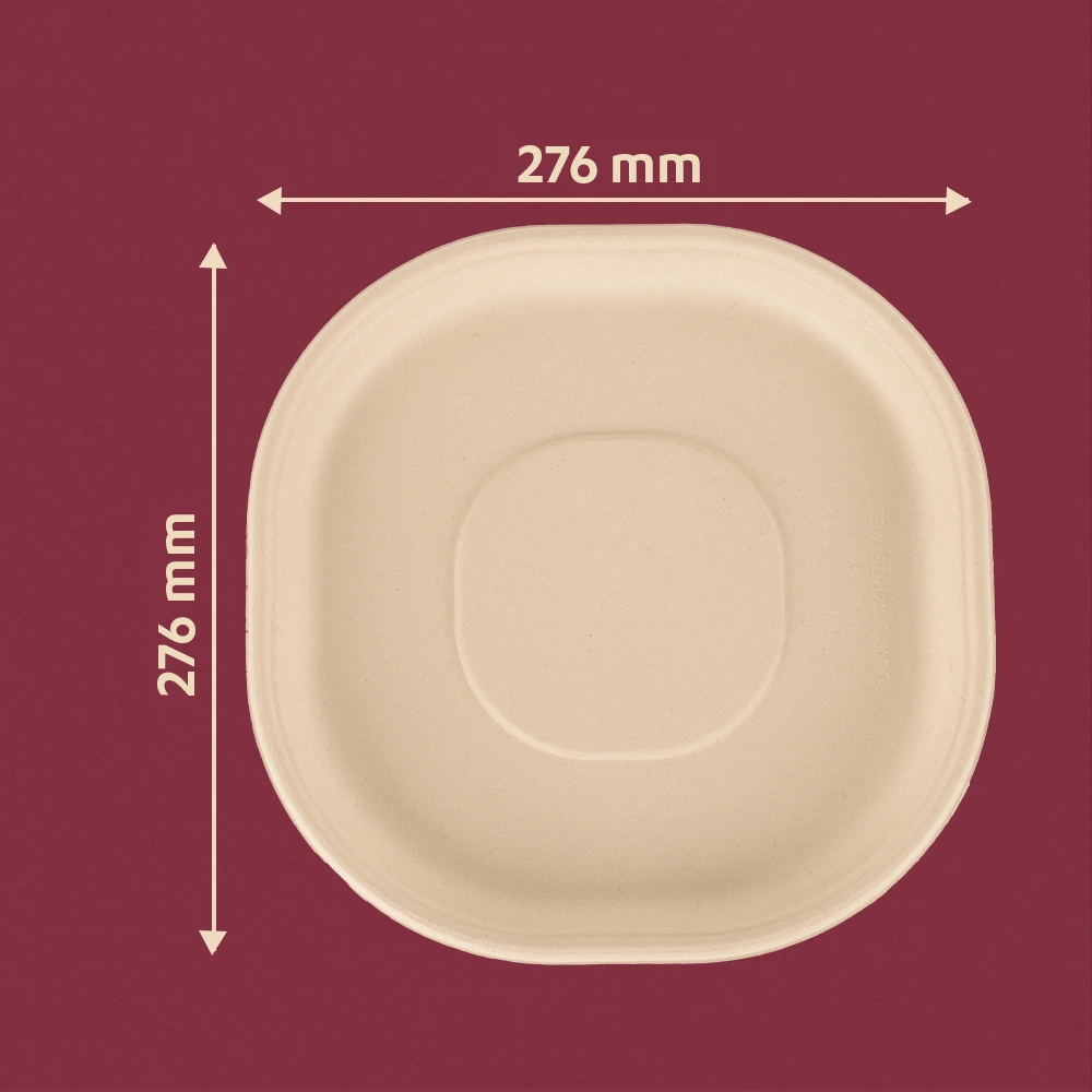 12"Disposable Plate - Image 2