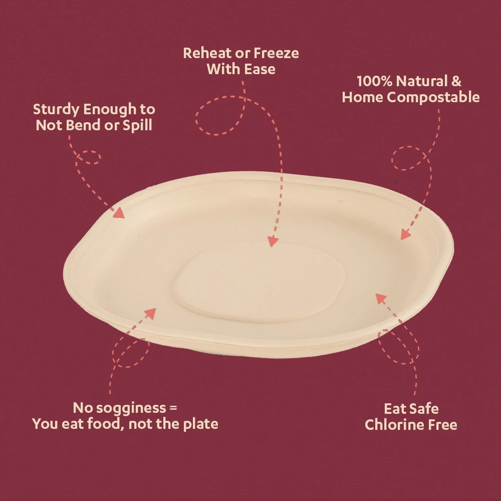 12"Disposable Plate - Image 3