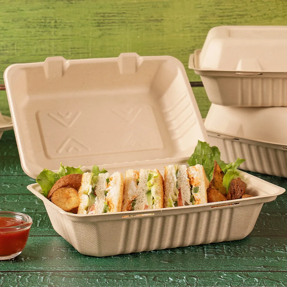 9x6 Clamshell - Image 4