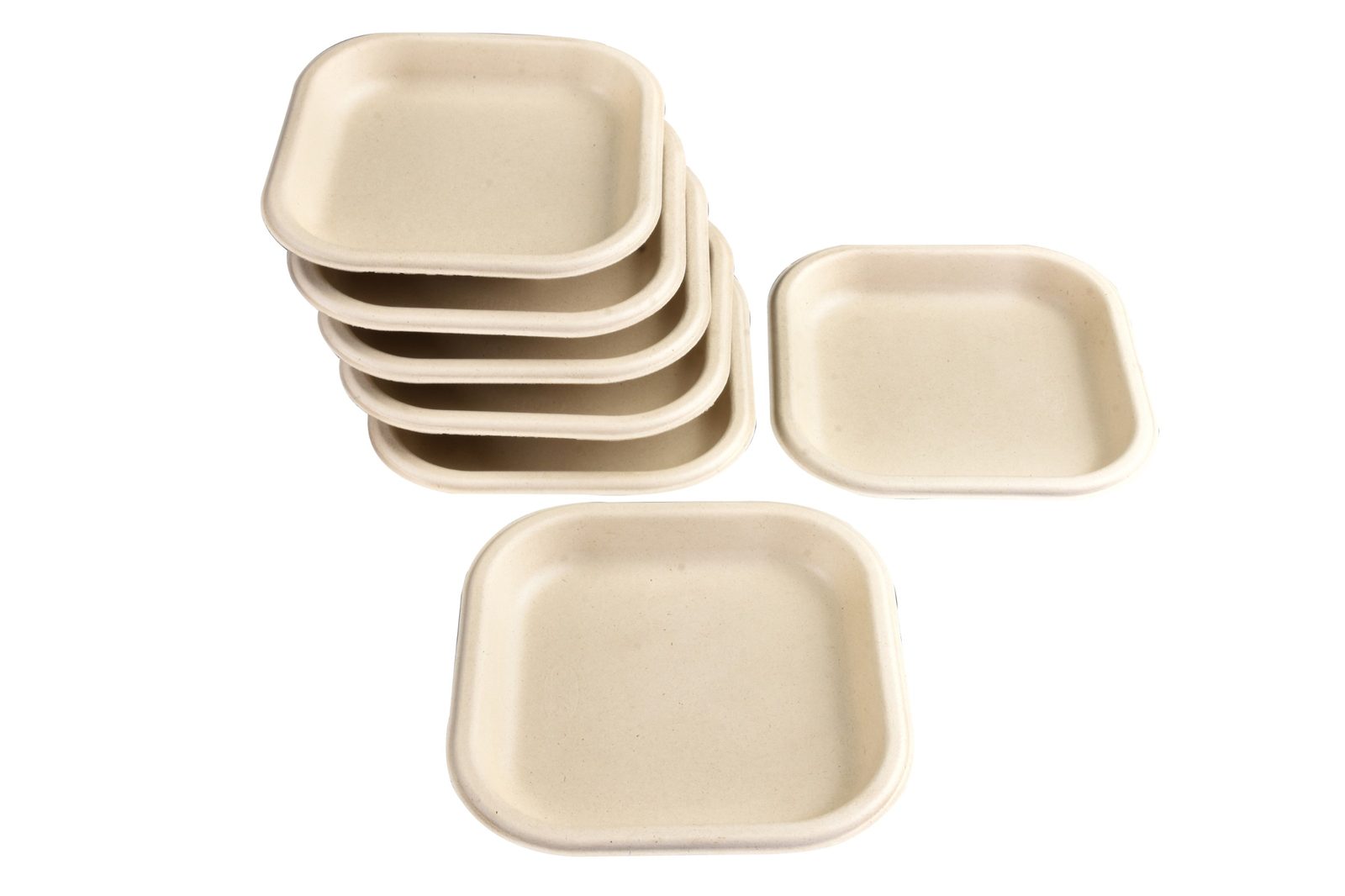 CHUK 7 inch Disposable Plate (bagasse), lifestyle shot - Independence Day restaurant tricolour menu thali plates catering platter festive food