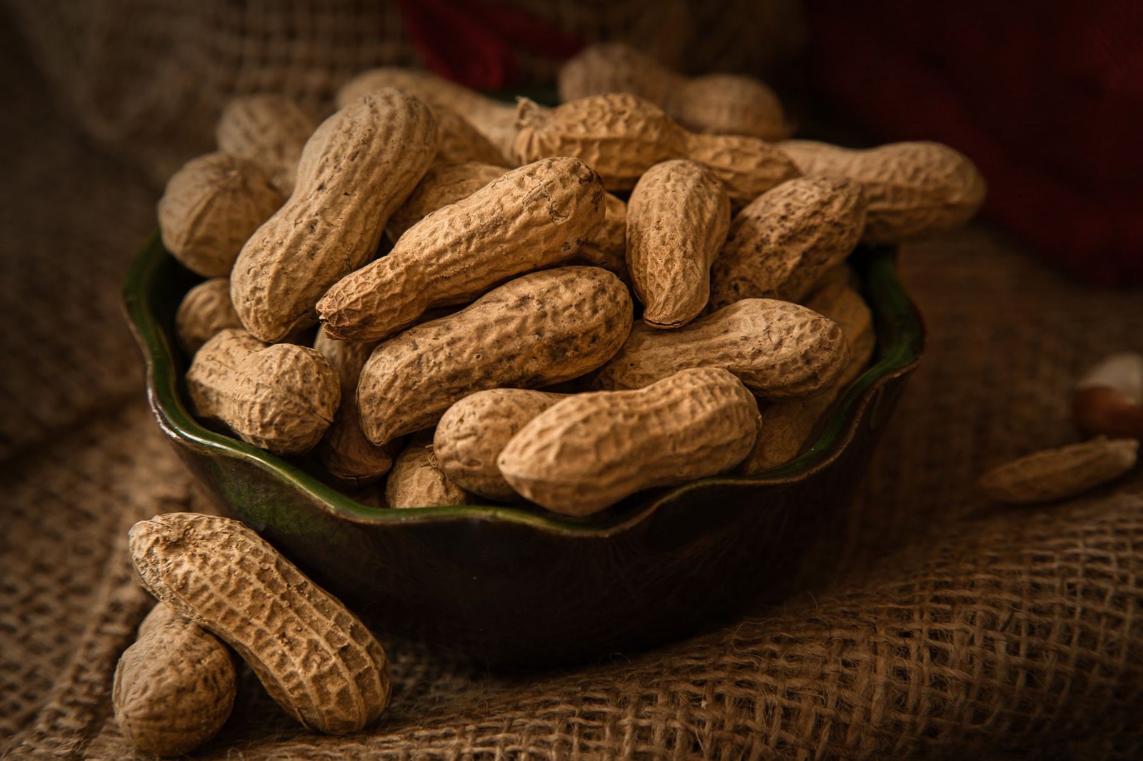 Roasted peanuts in a bowl, a permitted ingredient on a Janmashtami falahari (fasting) menu